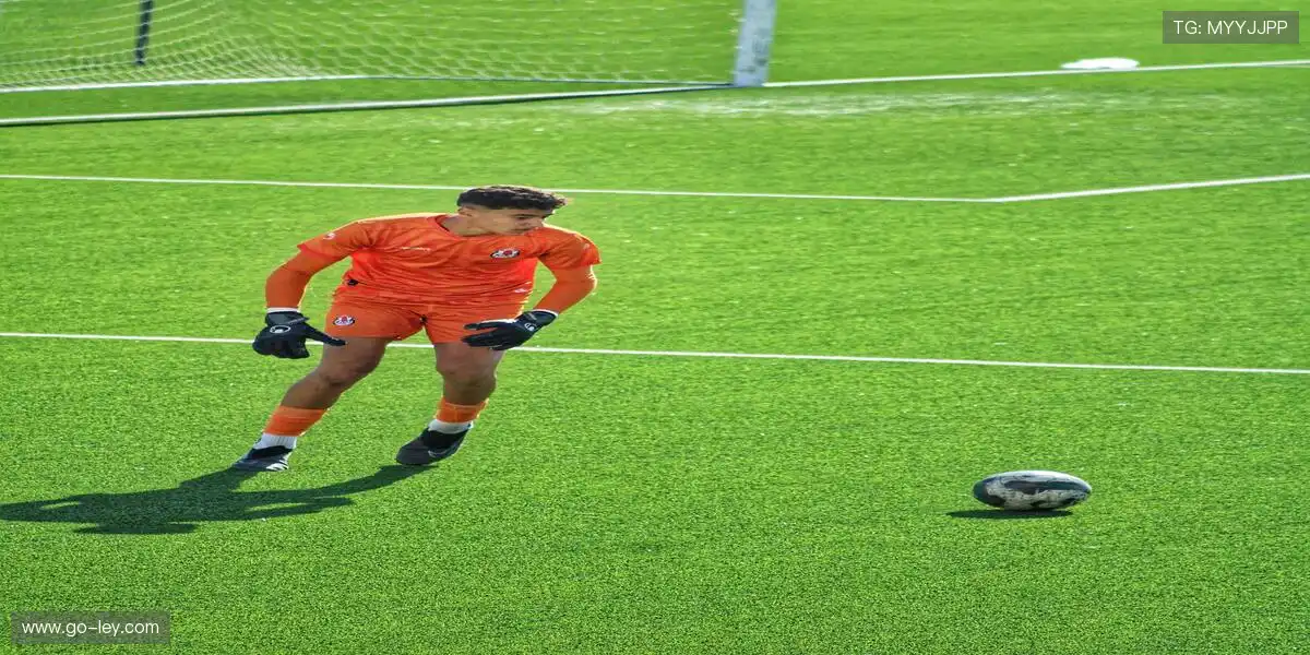 🏅荣耀见证,每一份汗水都值得铭记!🎉